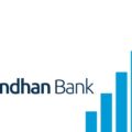 Bandhan Bank Share Price Target 2023, 2024, 2025, 2026, 2027, 2028, 2029, 2030